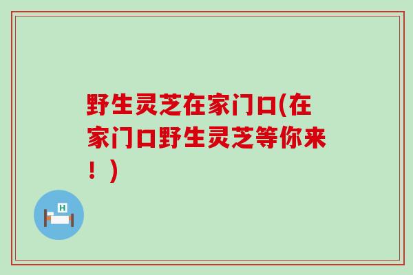 野生灵芝在家门口(在家门口野生灵芝等你来！)