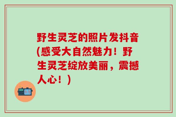野生灵芝的照片发抖音(感受大自然魅力！野生灵芝绽放美丽，震撼人心！)