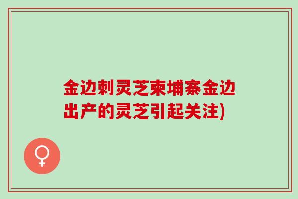 金边刺灵芝柬埔寨金边出产的灵芝引起关注)