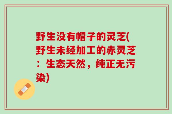 野生没有帽子的灵芝(野生未经加工的赤灵芝：生态天然，纯正无污染)