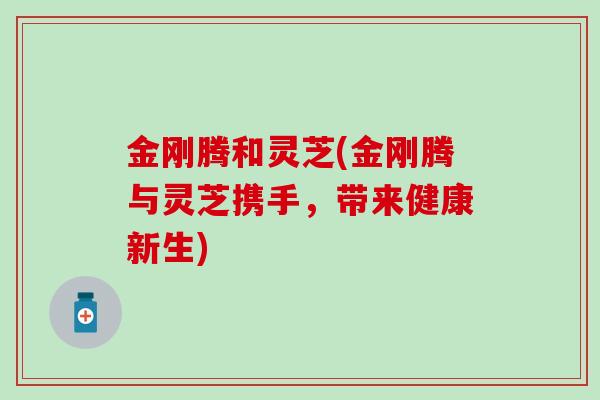 金刚腾和灵芝(金刚腾与灵芝携手，带来健康新生)