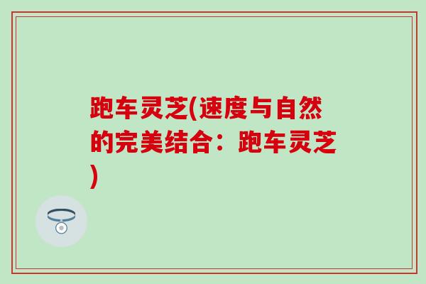 跑车灵芝(速度与自然的完美结合：跑车灵芝)