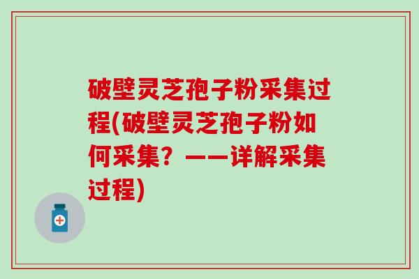 破壁灵芝孢子粉采集过程(破壁灵芝孢子粉如何采集？——详解采集过程)