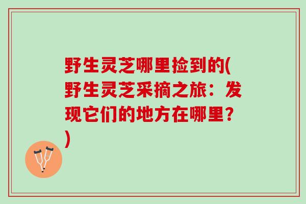 野生灵芝哪里捡到的(野生灵芝采摘之旅：发现它们的地方在哪里？)