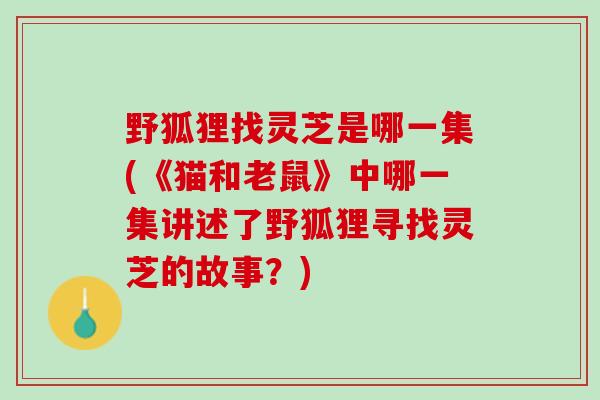 野狐狸找灵芝是哪一集(《猫和老鼠》中哪一集讲述了野狐狸寻找灵芝的故事？)