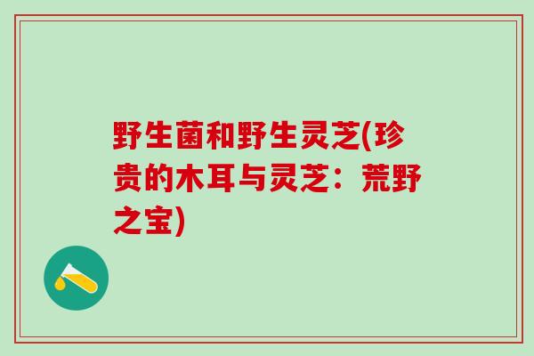 野生菌和野生灵芝(珍贵的木耳与灵芝：荒野之宝)