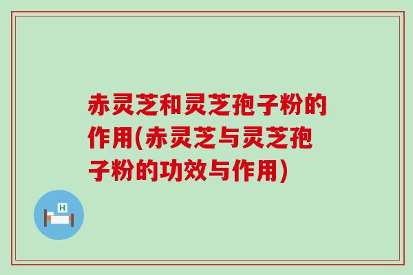 赤灵芝和灵芝孢子粉的作用(赤灵芝与灵芝孢子粉的功效与作用)