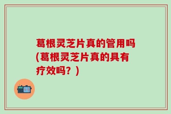 葛根灵芝片真的管用吗(葛根灵芝片真的具有疗效吗？)