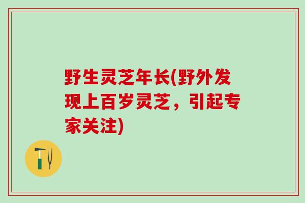 野生灵芝年长(野外发现上百岁灵芝，引起专家关注)