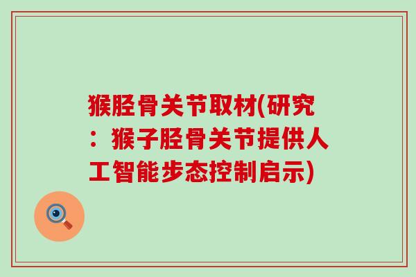 猴胫骨关节取材(研究：猴子胫骨关节提供人工智能步态控制启示)
