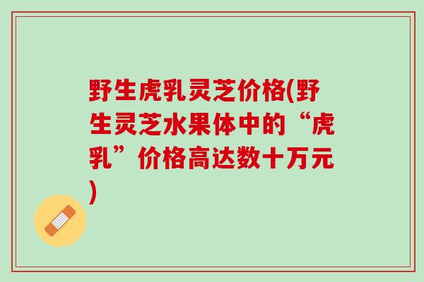 野生虎乳灵芝价格(野生灵芝水果体中的“虎乳”价格高达数十万元)