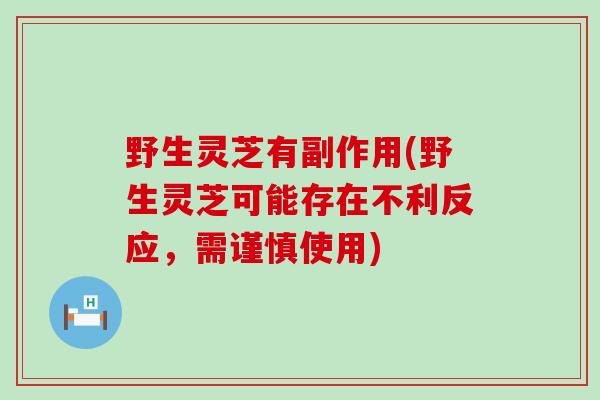 野生灵芝有副作用(野生灵芝可能存在不利反应，需谨慎使用)