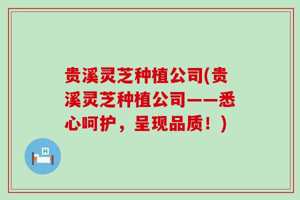 贵溪灵芝种植公司(贵溪灵芝种植公司——悉心呵护，呈现品质！)
