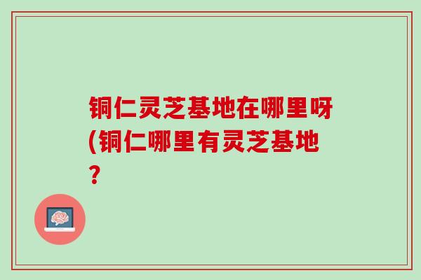 铜仁灵芝基地在哪里呀(铜仁哪里有灵芝基地？