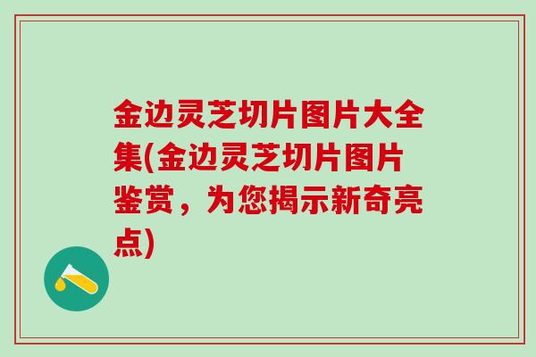 金边灵芝切片图片大全集(金边灵芝切片图片鉴赏，为您揭示新奇亮点)