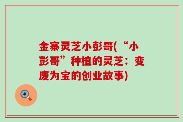 金寨灵芝小彭哥(“小彭哥”种植的灵芝：变废为宝的创业故事)