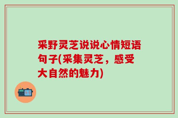 采野灵芝说说心情短语句子(采集灵芝，感受大自然的魅力)