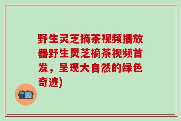 野生灵芝摘茶视频播放器野生灵芝摘茶视频首发，呈现大自然的绿色奇迹)
