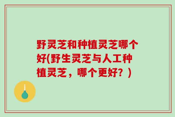 野灵芝和种植灵芝哪个好(野生灵芝与人工种植灵芝，哪个更好？)
