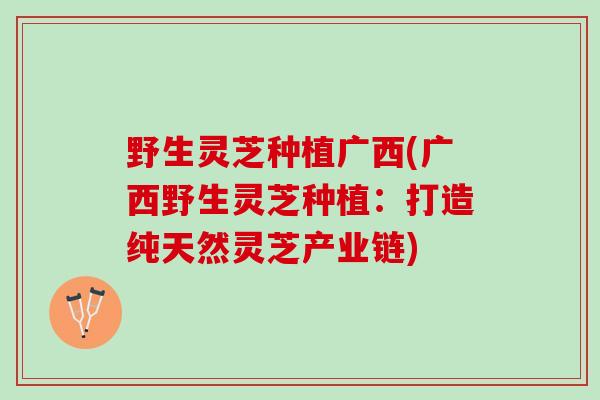 野生灵芝种植广西(广西野生灵芝种植：打造纯天然灵芝产业链)