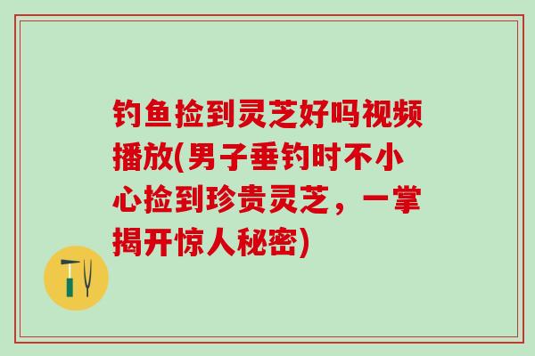 钓鱼捡到灵芝好吗视频播放(男子垂钓时不小心捡到珍贵灵芝，一掌揭开惊人秘密)