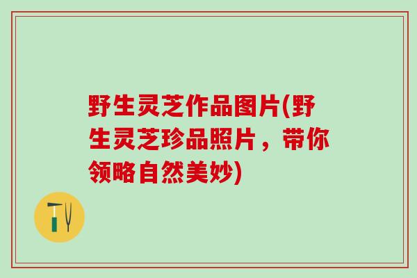 野生灵芝作品图片(野生灵芝珍品照片，带你领略自然美妙)
