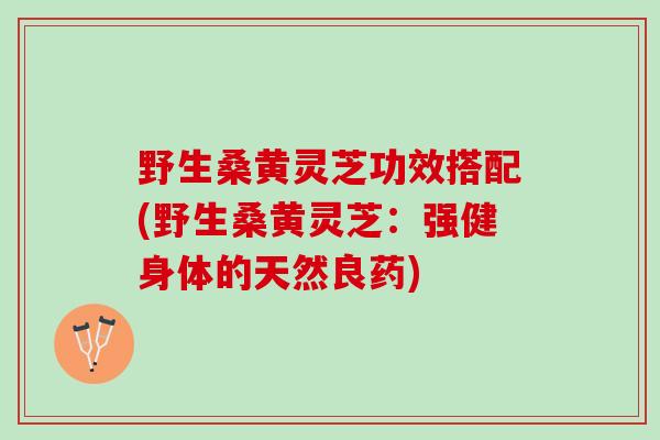 野生桑黄灵芝功效搭配(野生桑黄灵芝：强健身体的天然良药)