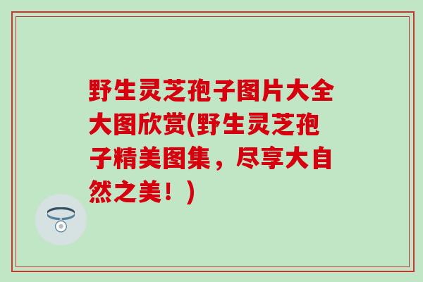野生灵芝孢子图片大全大图欣赏(野生灵芝孢子精美图集，尽享大自然之美！)