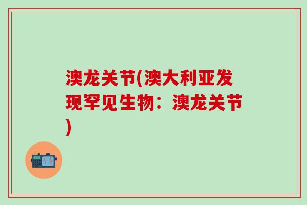 澳龙关节(澳大利亚发现罕见生物：澳龙关节)