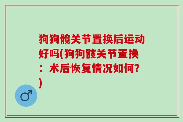 狗狗髋关节置换后运动好吗(狗狗髋关节置换：术后恢复情况如何？)