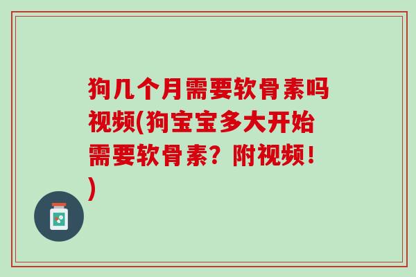 狗几个月需要软骨素吗视频(狗宝宝多大开始需要软骨素？附视频！)