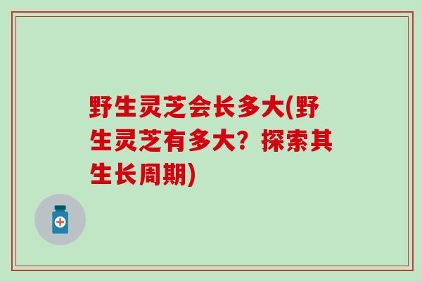 野生灵芝会长多大(野生灵芝有多大？探索其生长周期)