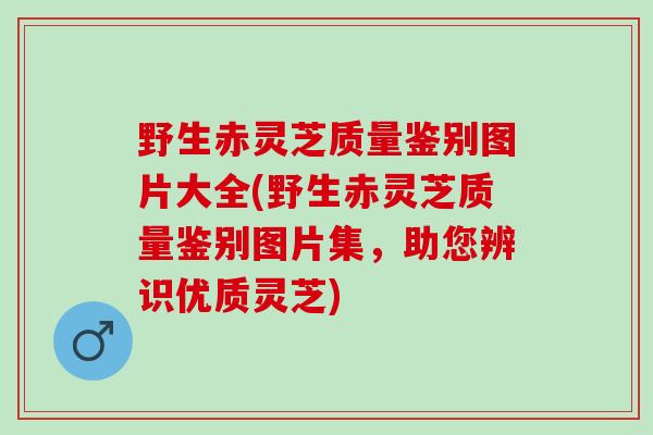 野生赤灵芝质量鉴别图片大全(野生赤灵芝质量鉴别图片集，助您辨识优质灵芝)