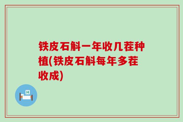 铁皮石斛一年收几茬种植(铁皮石斛每年多茬收成)