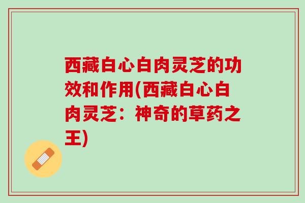 西藏白心白肉灵芝的功效和作用(西藏白心白肉灵芝：神奇的草药之王)