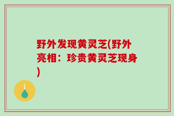 野外发现黄灵芝(野外亮相：珍贵黄灵芝现身)