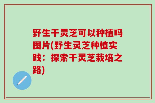 野生干灵芝可以种植吗图片(野生灵芝种植实践：探索干灵芝栽培之路)