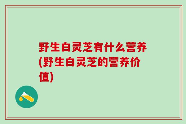 野生白灵芝有什么营养(野生白灵芝的营养价值)