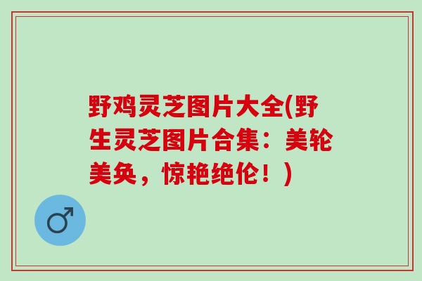野鸡灵芝图片大全(野生灵芝图片合集：美轮美奂，惊艳绝伦！)