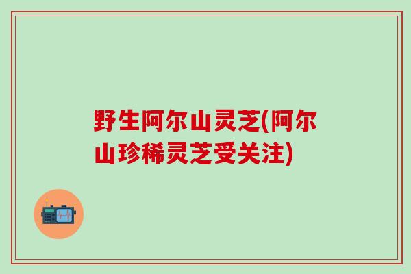 野生阿尔山灵芝(阿尔山珍稀灵芝受关注)