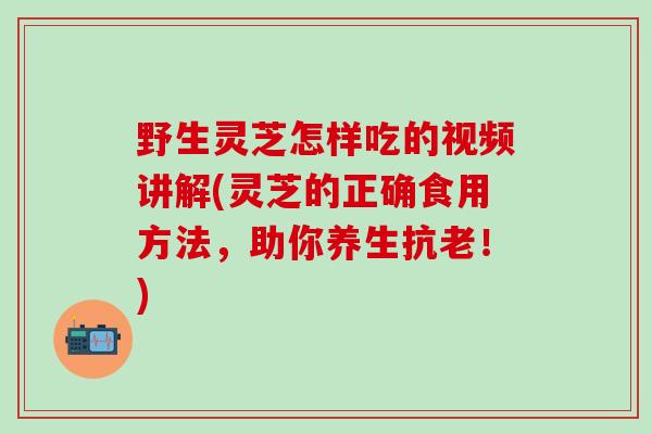 野生灵芝怎样吃的视频讲解(灵芝的正确食用方法，助你养生抗老！)