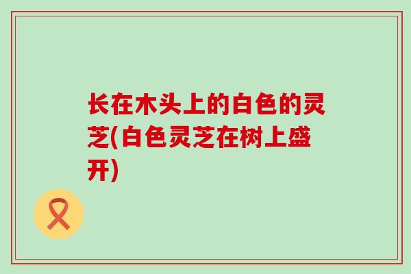 长在木头上的白色的灵芝(白色灵芝在树上盛开)
