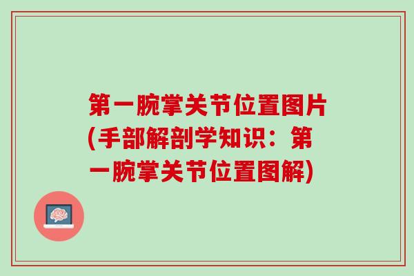 第一腕掌关节位置图片(手部解剖学知识：第一腕掌关节位置图解)