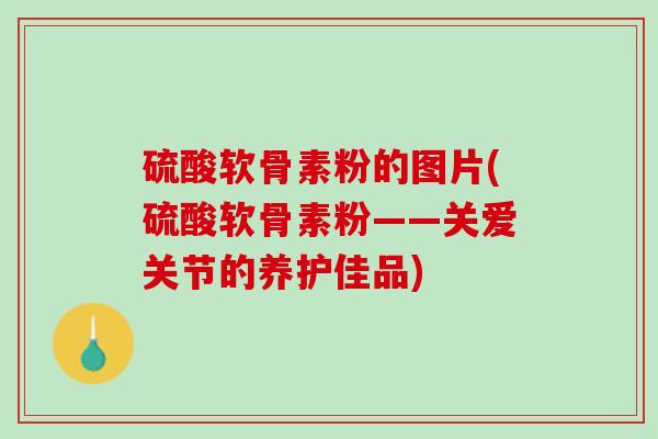 硫酸软骨素粉的图片(硫酸软骨素粉——关爱关节的养护佳品)
