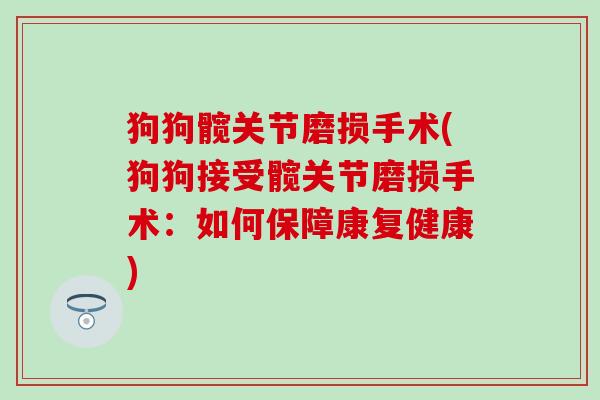 狗狗髋关节磨损手术(狗狗接受髋关节磨损手术：如何保障康复健康)