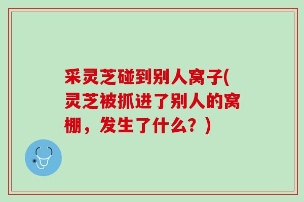 采灵芝碰到别人窝子(灵芝被抓进了别人的窝棚，发生了什么？)