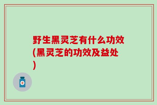 野生黑灵芝有什么功效(黑灵芝的功效及益处)
