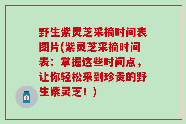 野生紫灵芝采摘时间表图片(紫灵芝采摘时间表：掌握这些时间点，让你轻松采到珍贵的野生紫灵芝！)