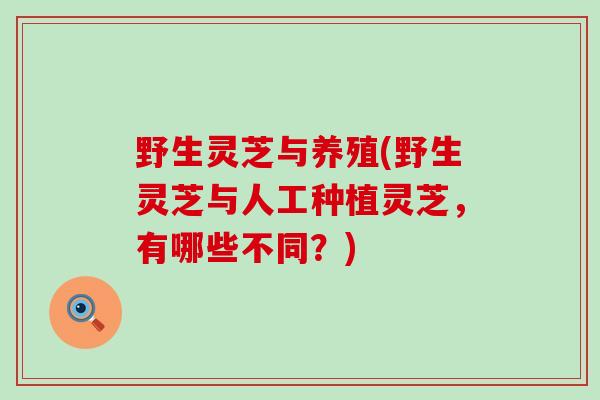 野生灵芝与养殖(野生灵芝与人工种植灵芝，有哪些不同？)