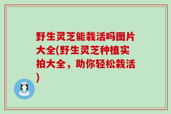 野生灵芝能栽活吗图片大全(野生灵芝种植实拍大全，助你轻松栽活)